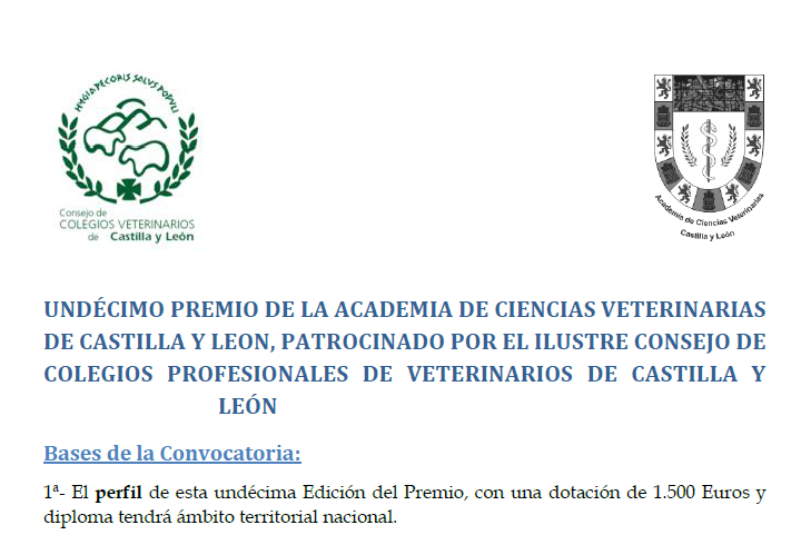 Undecimo premio academia Consejo Colegios.png