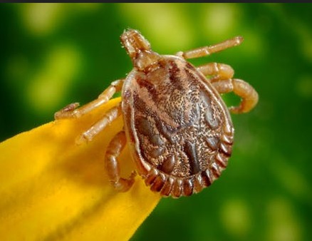 20-4-2026 14.4.35 1.jpg