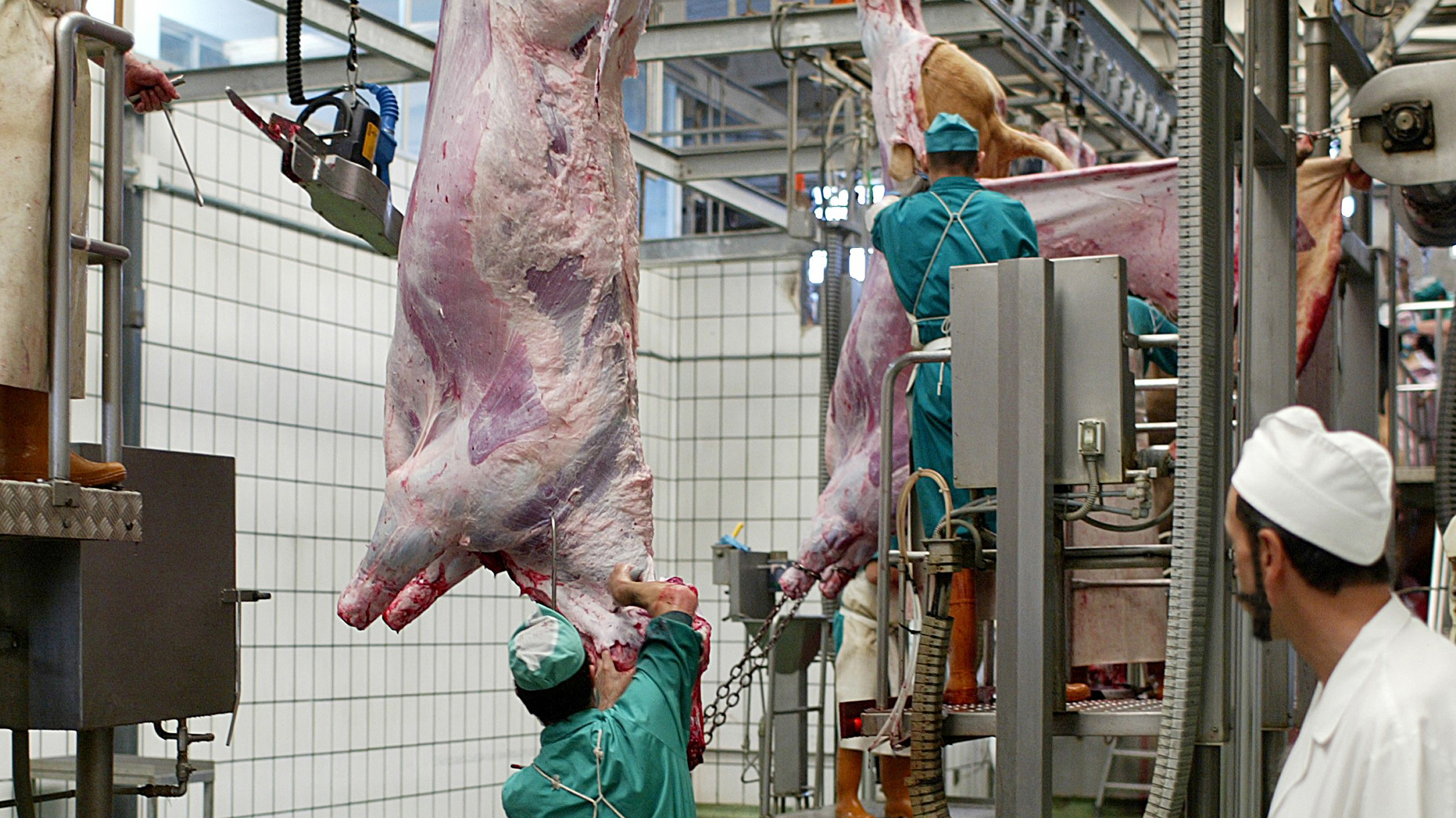 Matadero 2.jpg