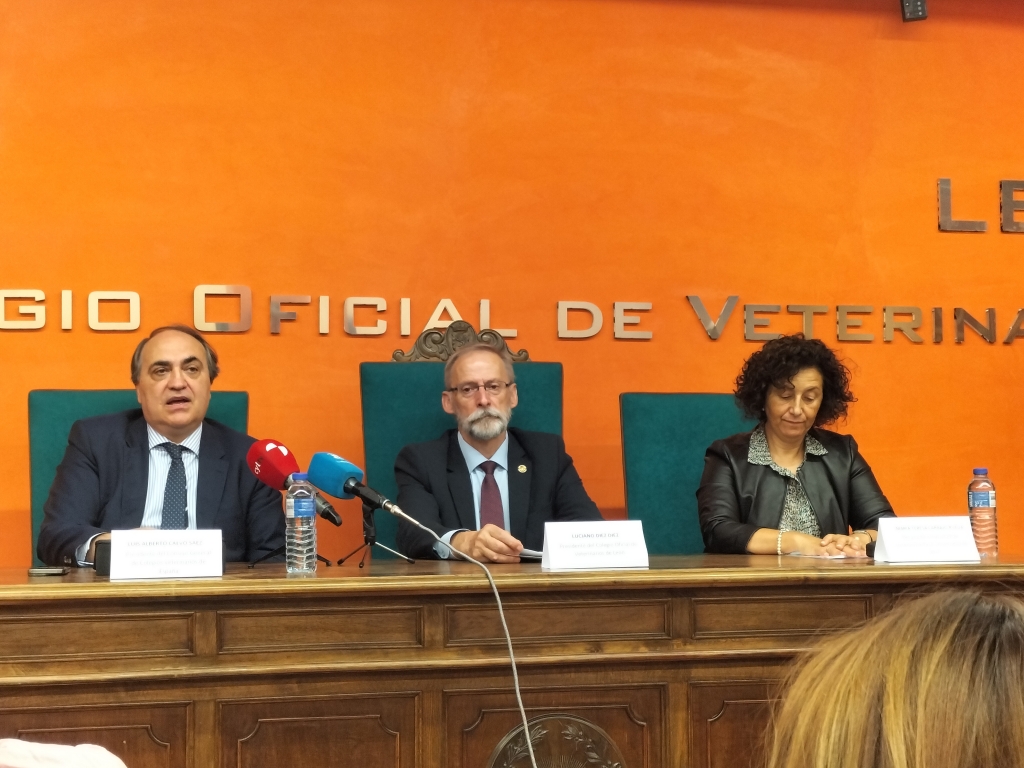 presentacincongresolen.jpg